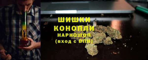 эйфоретик Аркадак