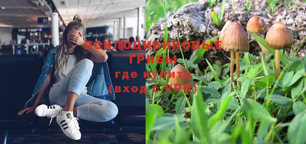 эйфоретик Аркадак