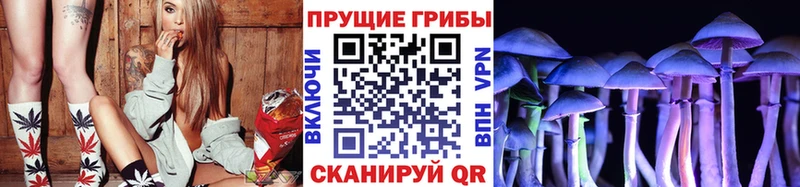 дарнет шоп  Тырныауз  Галлюциногенные грибы Magic Shrooms 